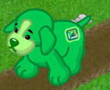 emerald lab