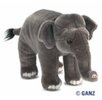 endangered asian elephant