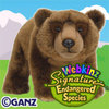 endangered brown bear