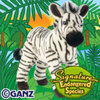 endangered cape mountain zebra