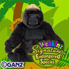 endangered western lowland gorilla