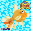 fantail gold fish