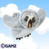 grey owl