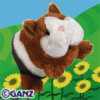 guinea pig