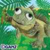 iguana