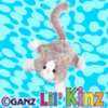 lil\' grey and white cat