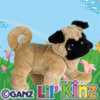 lil