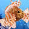 lion fish