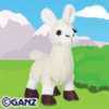 llama