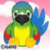 magnificent macaw