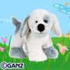 misty puppy