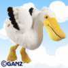 pelican