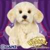 signature labradoodle