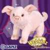 signature pig