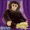 small signature chimpanzee
