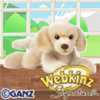 small signature golden retriever