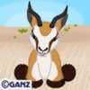 south african springbok