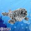 spotted seal