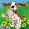 springer spaniel