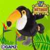 toco toucan