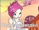 ok_29