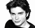 TW-modeling (12)