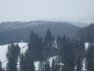 DSCF3528