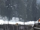 DSCF3586