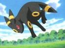 Umbreon ♂ lvl 122 Stie toate miscarile tip Dark si normal