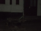 DSCN3095