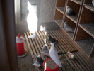 DSCN3193