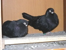DSCN3200