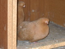 DSCN3201