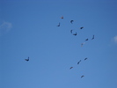 DSCN3209