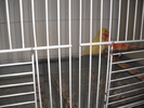 DSCN3218