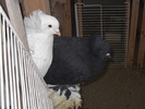 DSCN3224