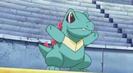 Totodile ♂ lvl 89 stie toate miscarile tip apa si normale