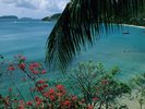 Friendship Bay, Bequia Island, St. Vincent - 160.jpg_595