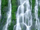 Gifford Pinchot National Forest, Washington - 16.jpg_595