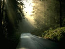 Early_morning_in_Alsace