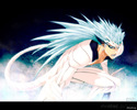 2441 - bleach grimmjow_jeagerjaques wallpaper