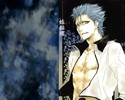 zerochan.Grimmjow.Jeagerjaques.62078