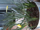 DSC00232