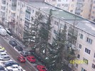100_9536