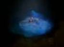 images6