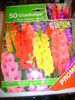 un pachet de 50 de gladiole