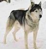 images(8)