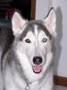 images(10)