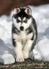 images(12)