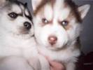 images(13)